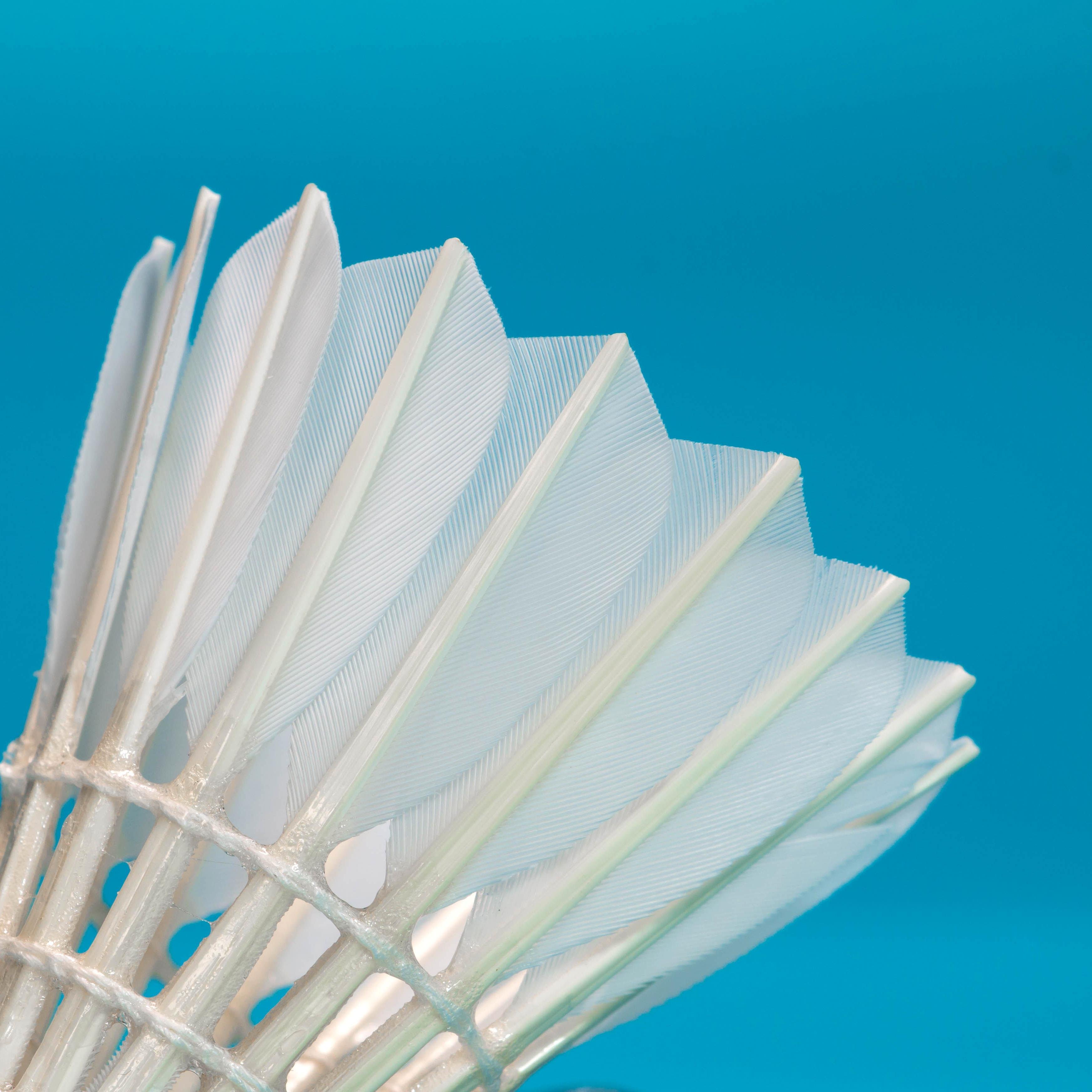 Goose Feather Badminton Shuttlecocks ling mei 10 Durable and Resistant to Playing
