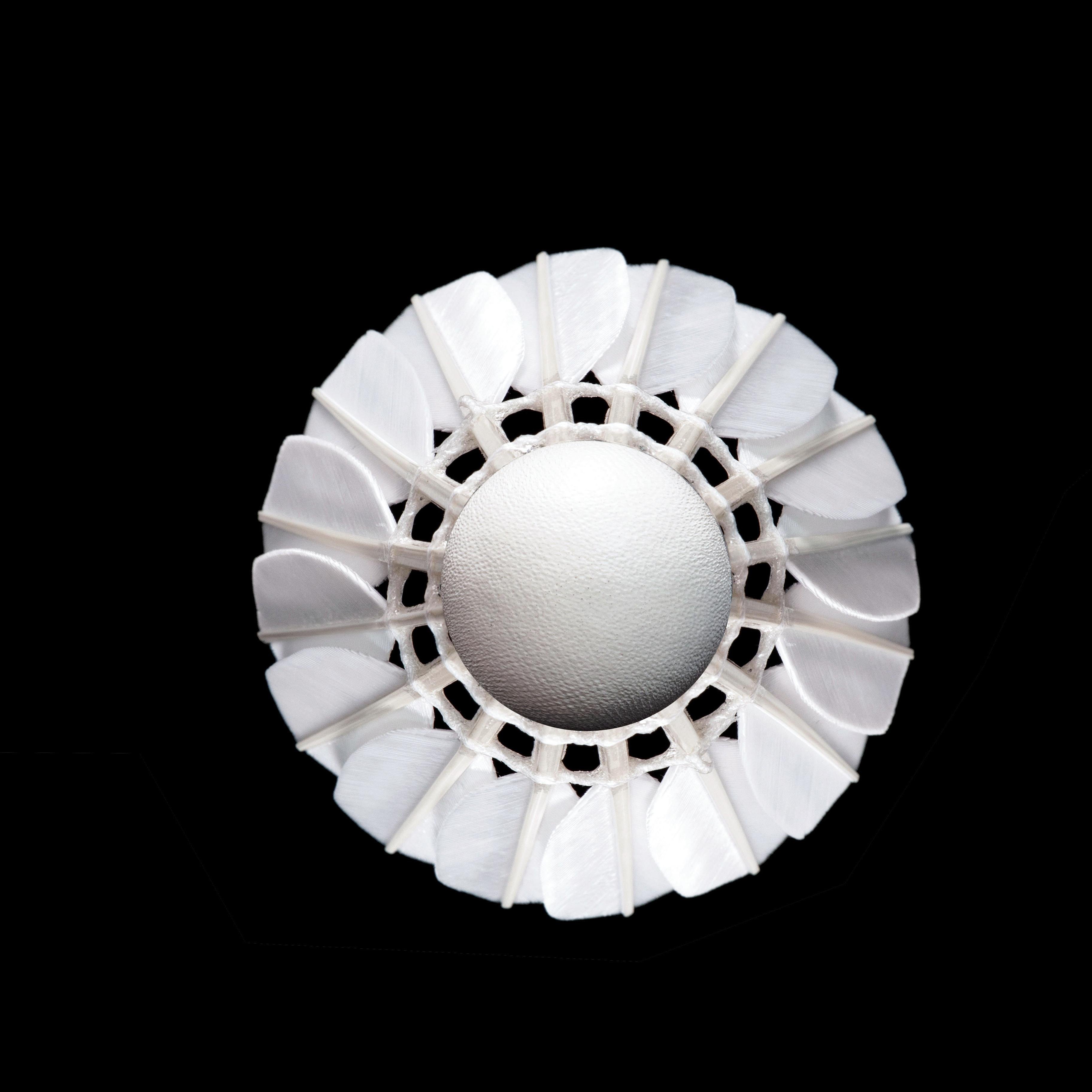Wholesale Top Quality Goose Feather Badminton Shuttlecock LINGMEI 70 For Pros as RSL as Lining