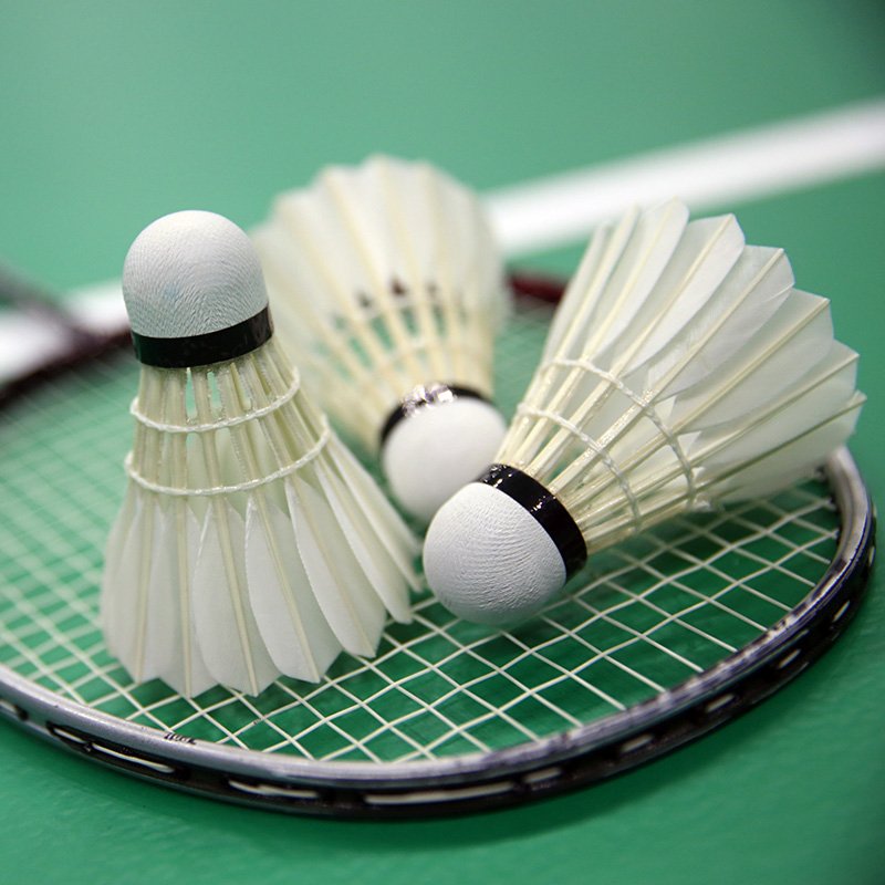 New Arrival Badminton Shuttlecock Model 3in1 Shuttlecock Stable and Durable Goose Feather Ball
