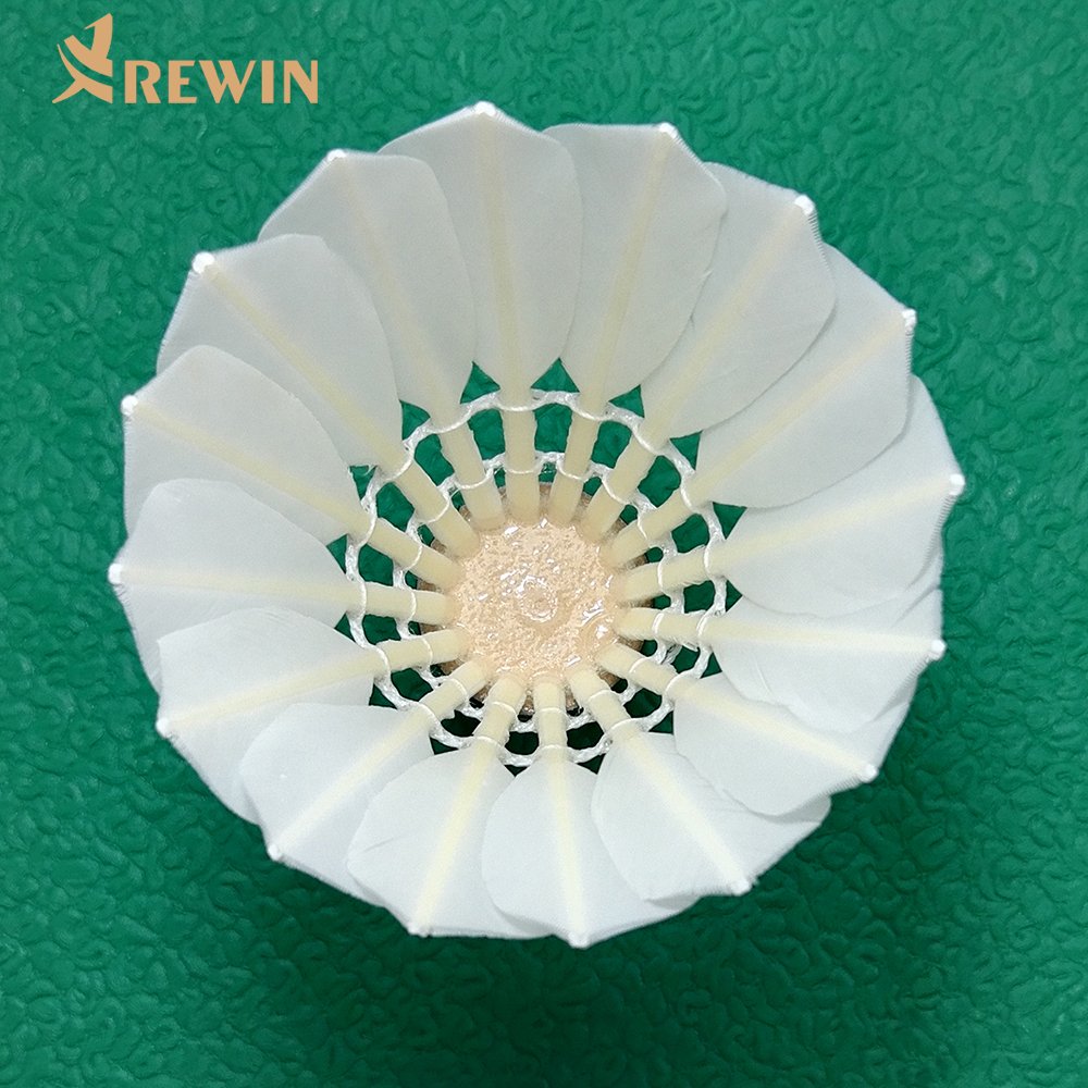 champion no.3 High Quality Badminton Shuttlecock similar as Aeroplane Shuttlecock