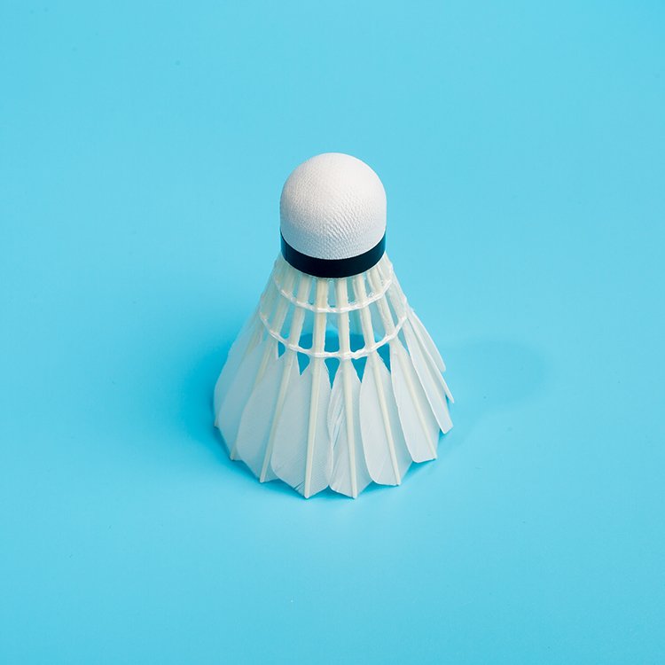 Top Aeroplane Shuttlecock Badminton Lining Shuttlecock Badminton