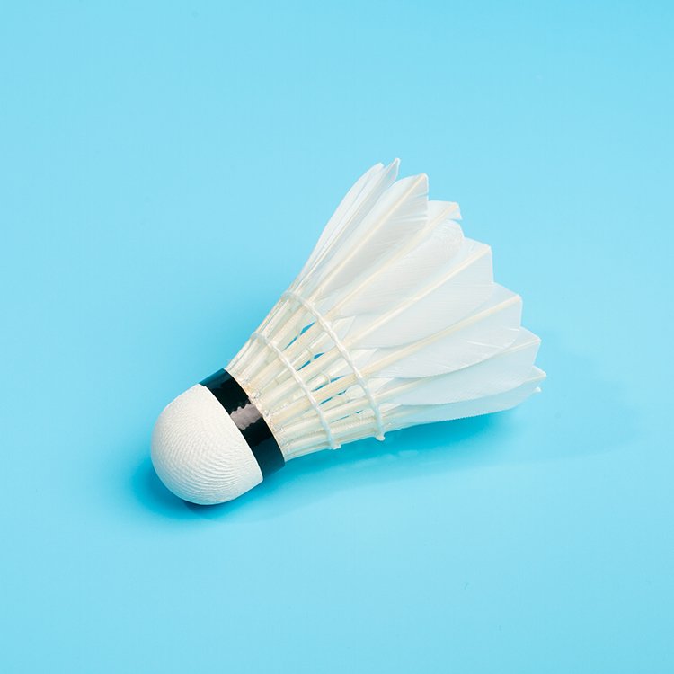 Top Aeroplane Shuttlecock Badminton Lining Shuttlecock Badminton