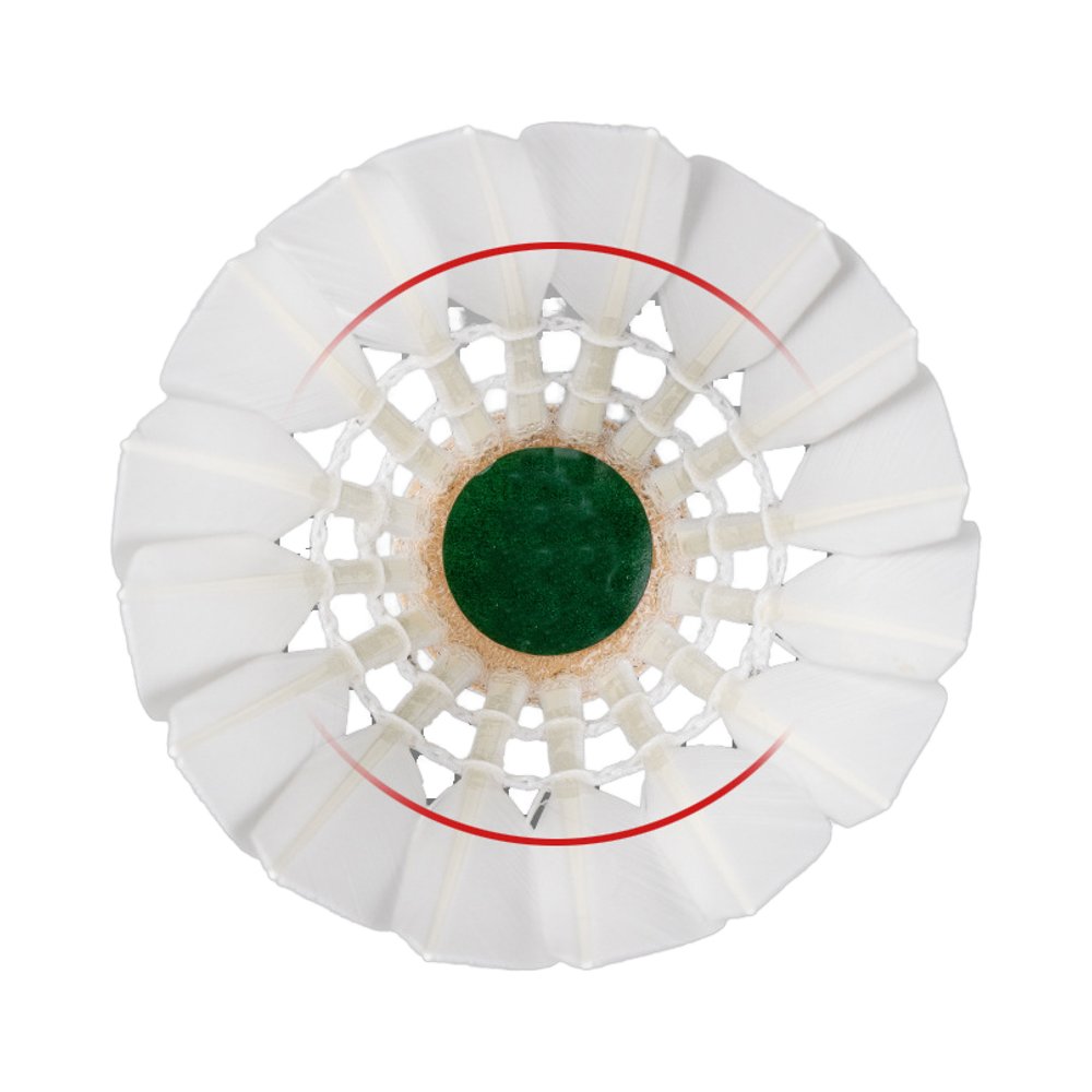 Super Wind-Resistant Duck Feather Badminton Training Ball Cost-Effective for Indoor and Outdoor General Training Shuttlecocks