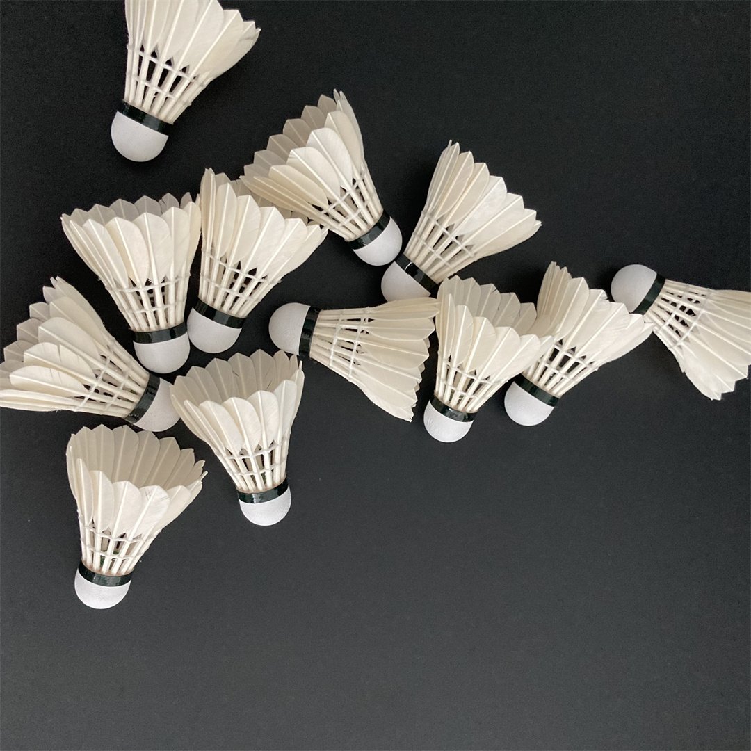 Badminton Shuttlecocks G4 Shuttlecocks Stable Durable Sports