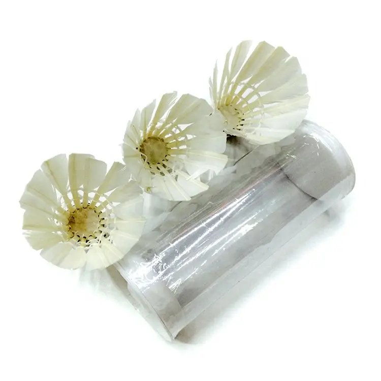 Good Quality Sports Plastic Cheap Sporting Goods Durable Shuttlecock Badminton