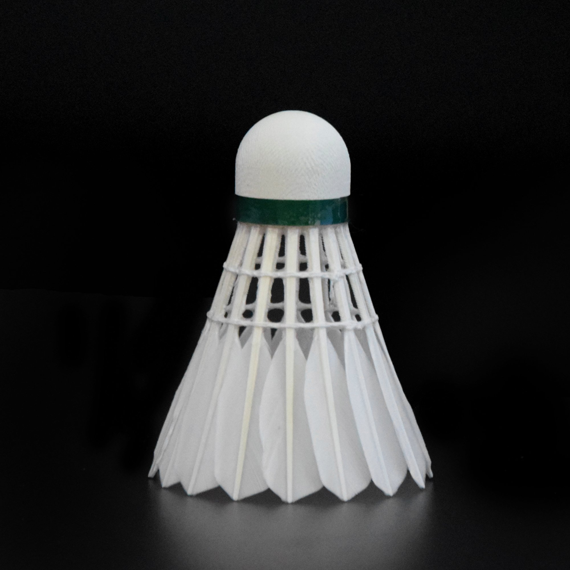 Same As Sea Lion C1101 Badminton Shuttlecock Birdies with High Quality Duck Feather Shuttle