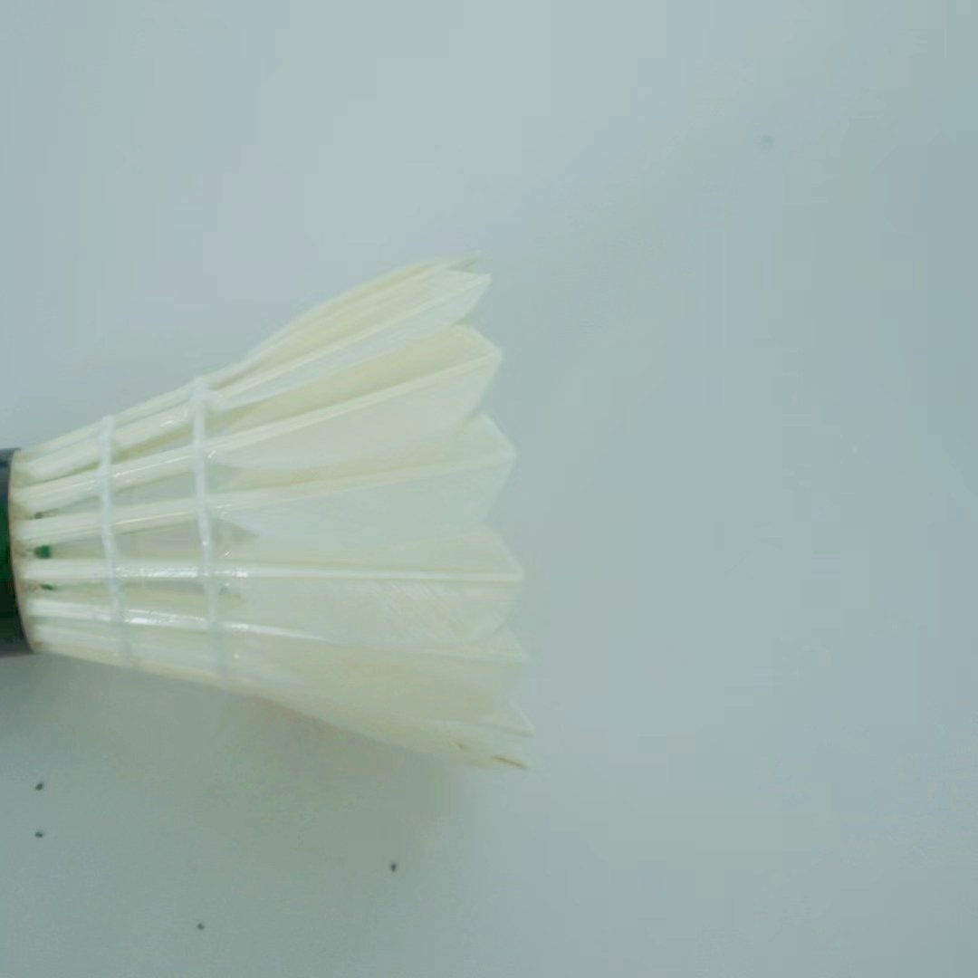 Class C all round Goose feathers badminton shuttlecock for club training