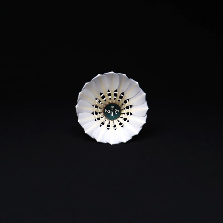 Factory Direct Supply Wholesale High Quality All Round Duck Feather Tournament Shuttlecock Badminton Ball
