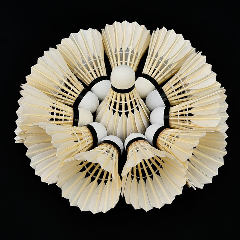 China Factory Durable High Quality New Design Goose Feather Shuttlecocks