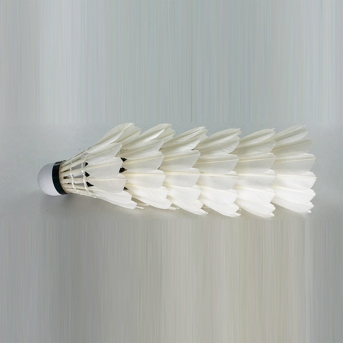Hot Sale 12 Pcs Portable White Goose Feather Training Badminton Balls Shuttlecocks Sport Products