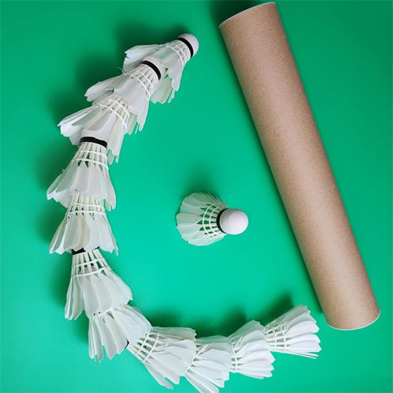 Hot selling eco-friendly badminton for outdoor exercise use