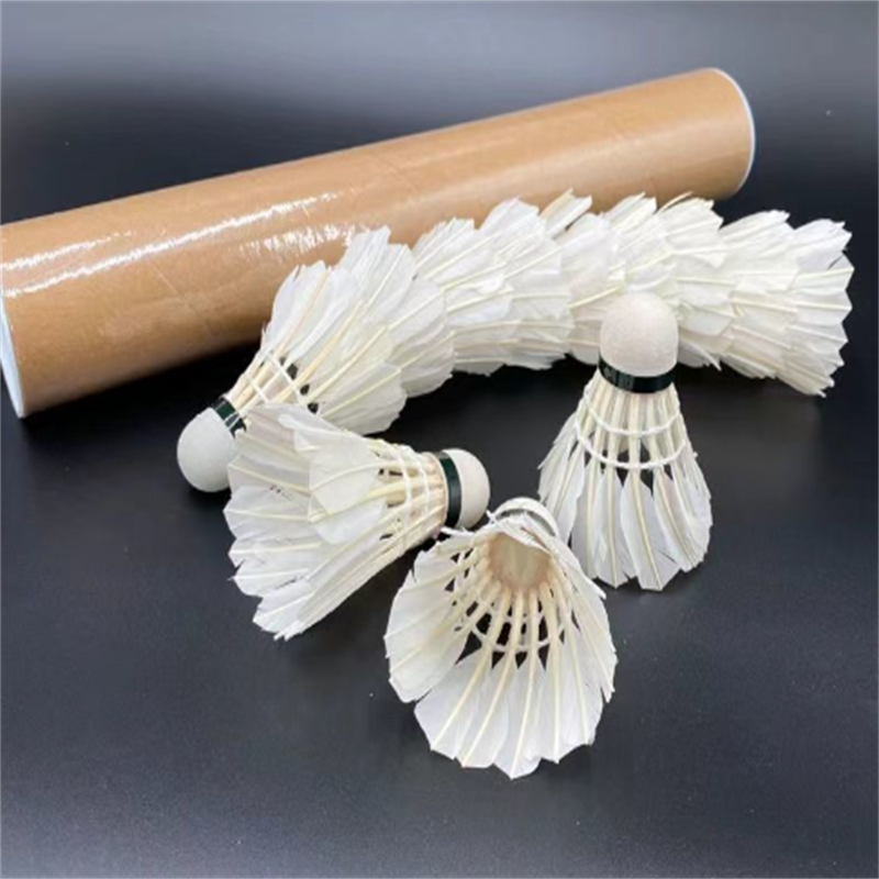 Hot selling eco-friendly badminton for outdoor exercise use