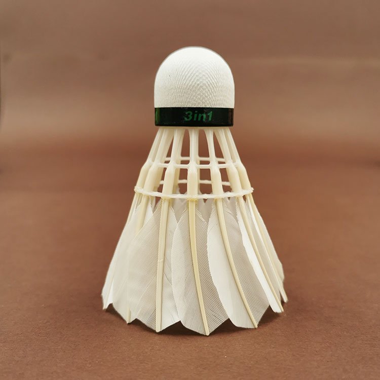 Cheap Price EVA Foam Head B level Feather Shuttlecock Badminton Hybrid Shuttlecock 222