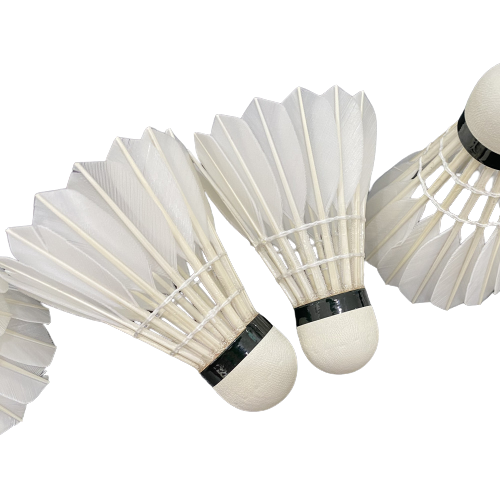 goose feather model 10 badminton shuttlecock for training