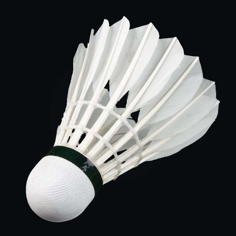 Duck Feather Competition Training Badminton Shuttles High Quality Shuttlecocks for Players