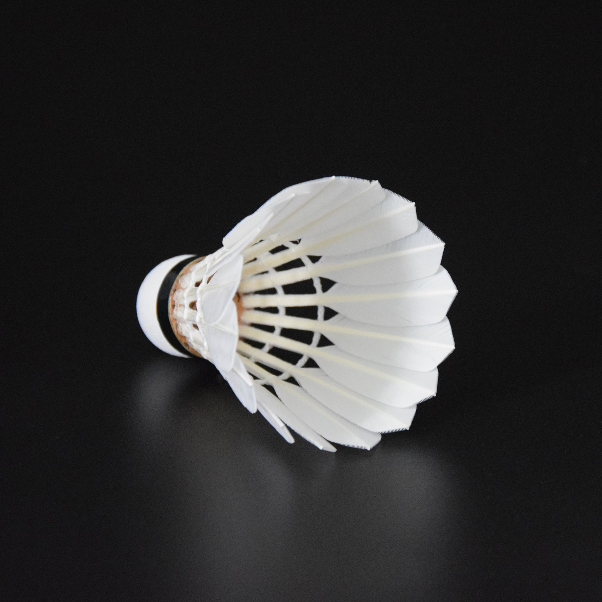 Factory Direct Sale Durable Stable Cheap Goose Feather Badminton Shuttlecocks Shuttlecock Basic Training