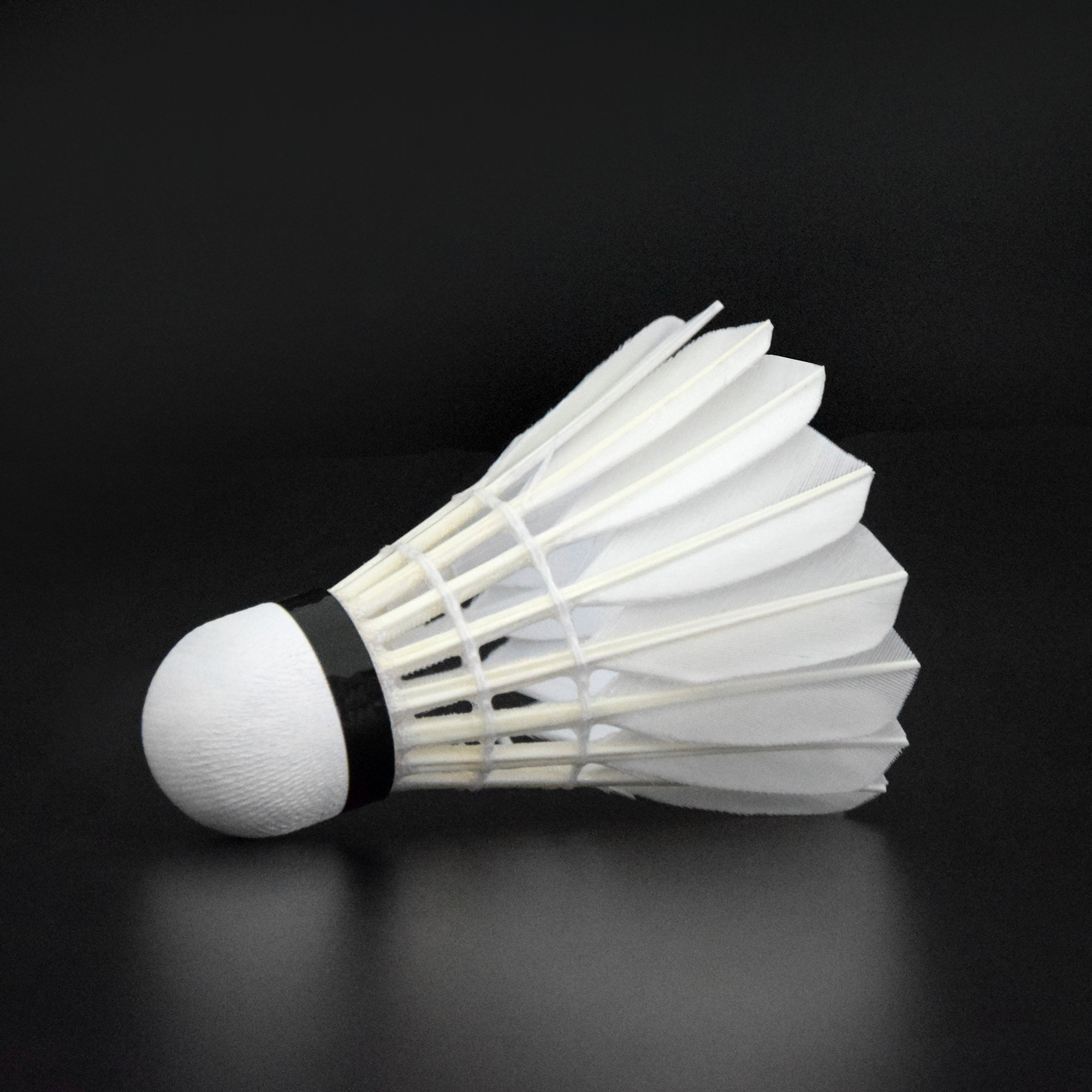 Factory Direct Sale Durable Stable Cheap Goose Feather Badminton Shuttlecocks Shuttlecock Basic Training