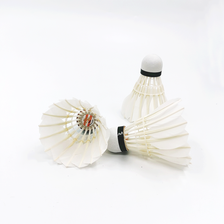 Top Seller European Markets Popular 3 in 1shuttles ball Pro Petrel 757 Badminton Shuttlecock