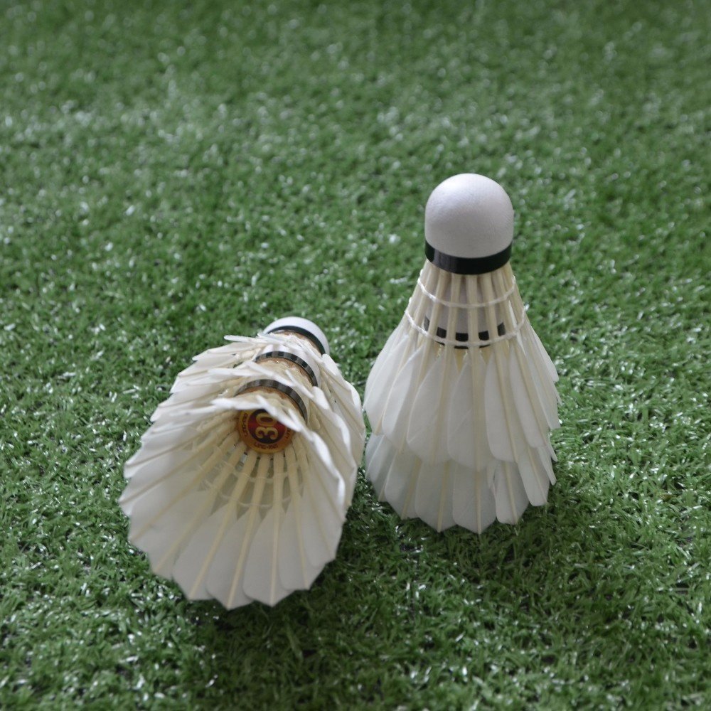 Training Equipment BWF Shuttlecock Wholesale Price Badminton Shuttlecock lingmei 30
