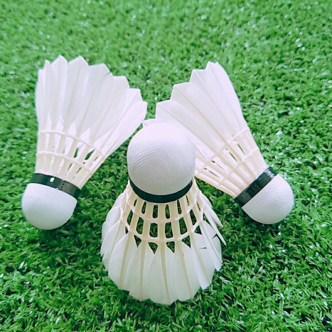 Training Equipment BWF Shuttlecock Wholesale Price Badminton Shuttlecock lingmei 30