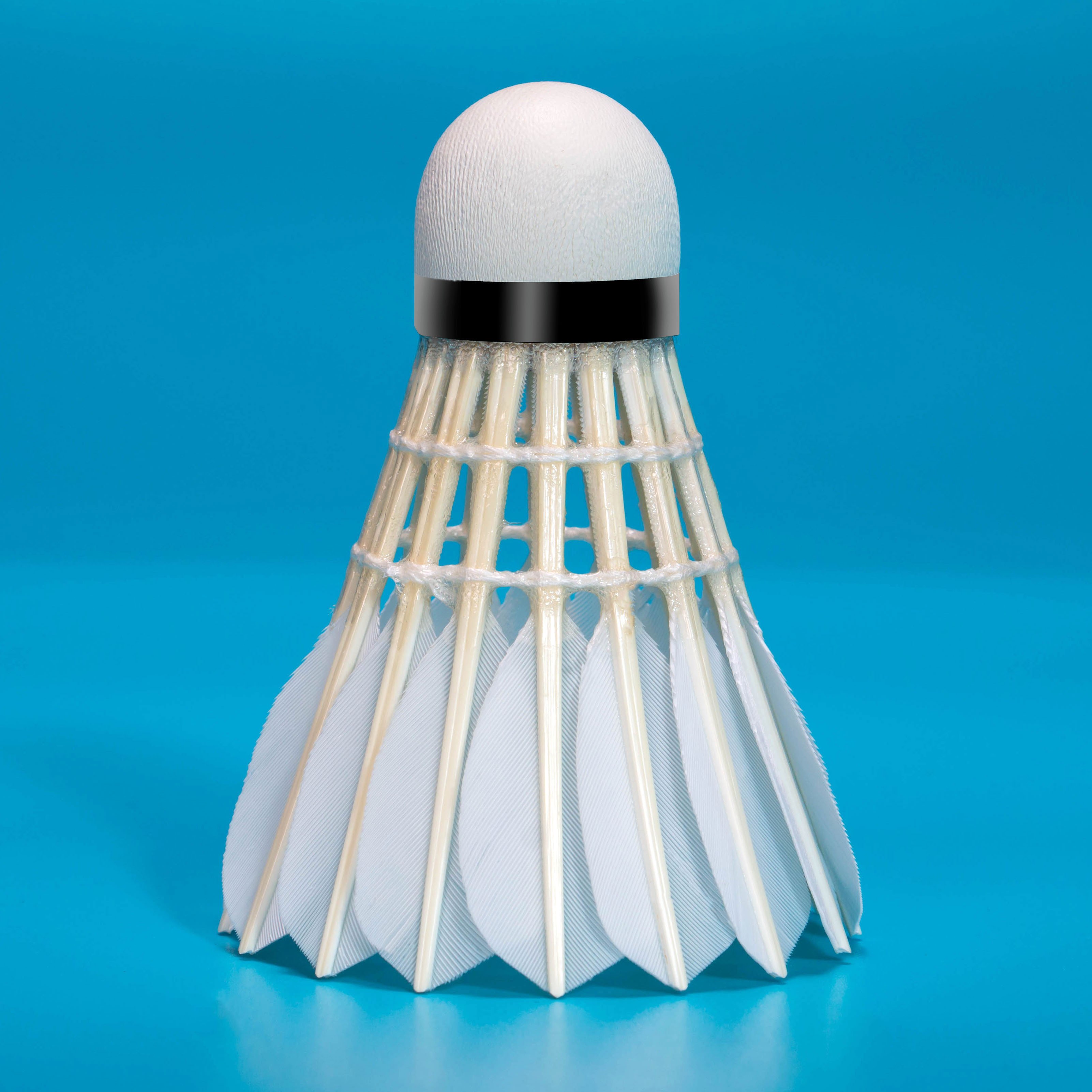 Badminton Lingmei 10 Goose Feather For Training Cheap Price Hot Sale Factory Supply Class A