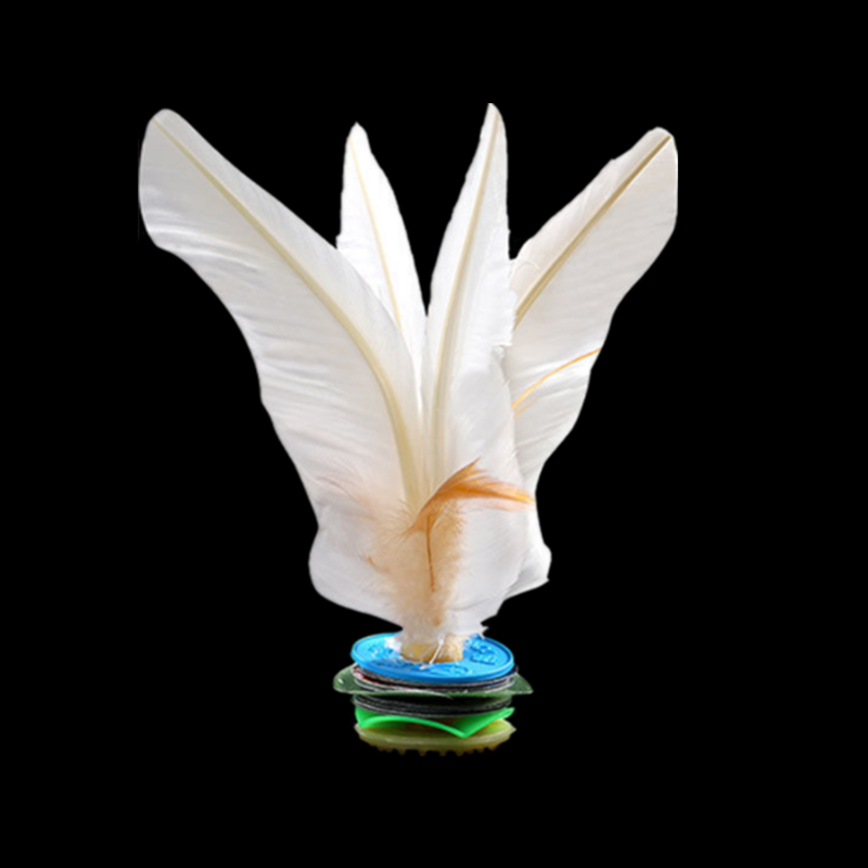 Wholesale Kick Feather Shuttlecocks China Shuttlecock Customized Kick Shuttlecock