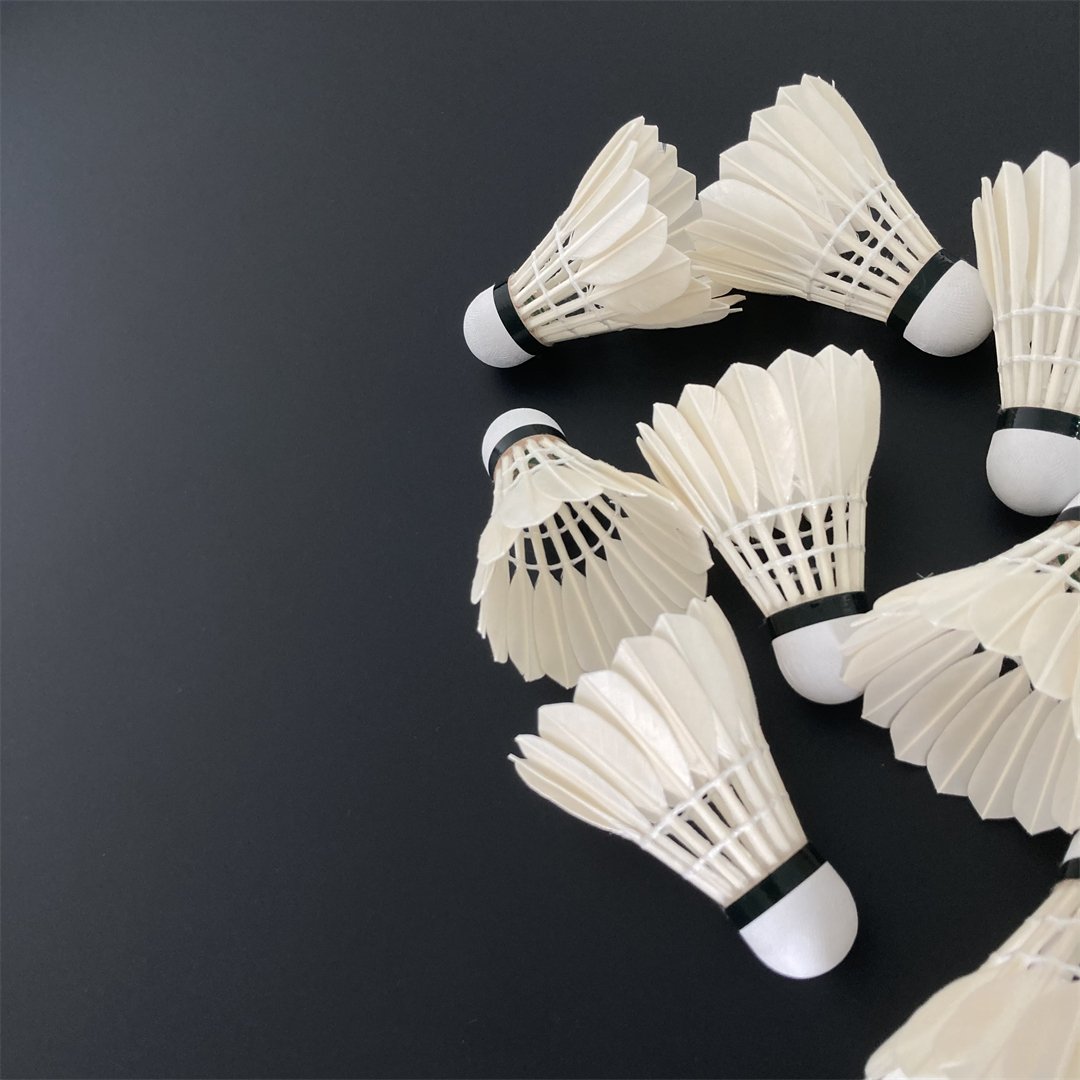 Professional Competition Price Shuttlecock G4 Badminton Suitable For Train