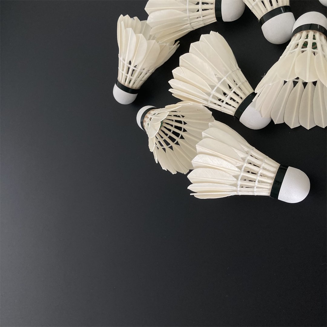 Professional Competition Price Shuttlecock G4 Badminton Suitable For Train