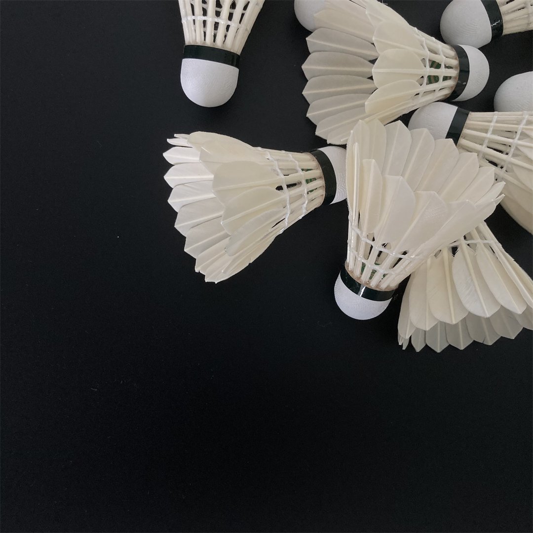 Professional Competition Price Shuttlecock G4 Badminton Suitable For Train