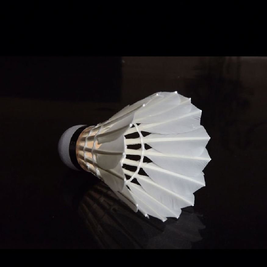 Grade As 20 Brand Badminton Xp2 Shuttlecock Indoor