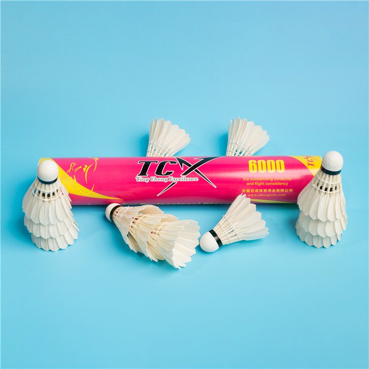 12PCS Badminton Shuttlecocks Sports Fitness Shuttlecock Set Badminton Shuttlecock Outdoor
