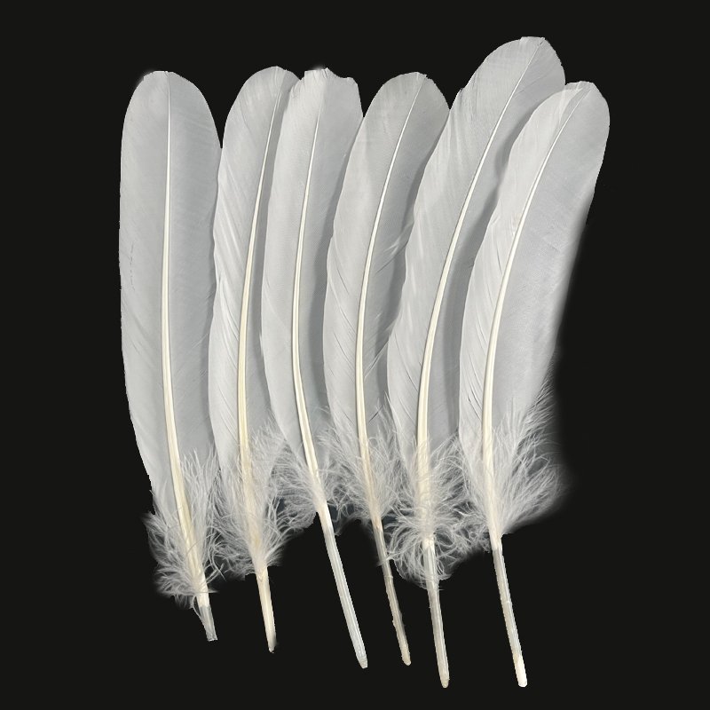 Shuttlecock raw material manufacturer directly sells badminton duck feather to Indonesia