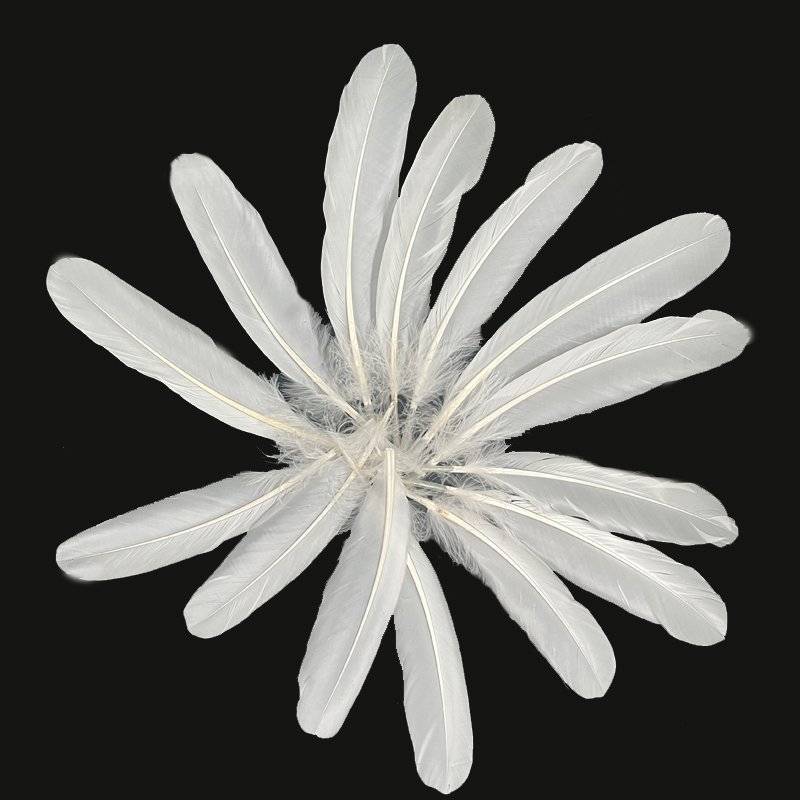Shuttlecock raw material manufacturer directly sells badminton duck feather to Indonesia