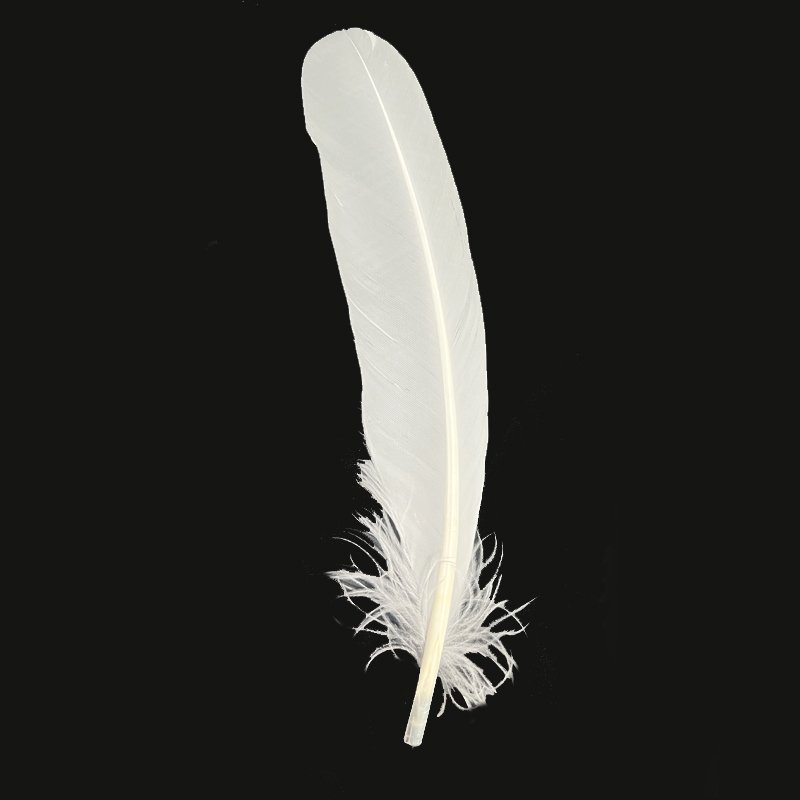 Shuttlecock raw material manufacturer directly sells badminton duck feather to Indonesia