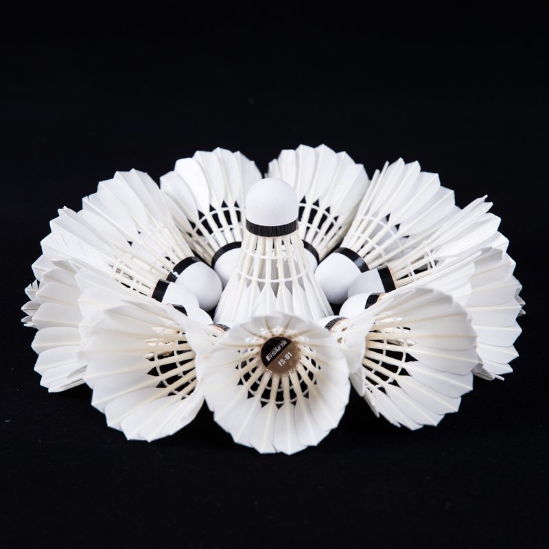 China Wholesale Top Grade One of Duck Feather Shuttlecock Fly NO.01