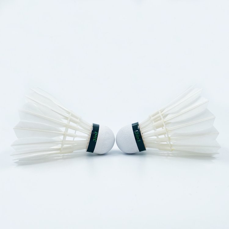 Zhoya Goose Feather Badminton Professional Training Badminton Other fleet badminton