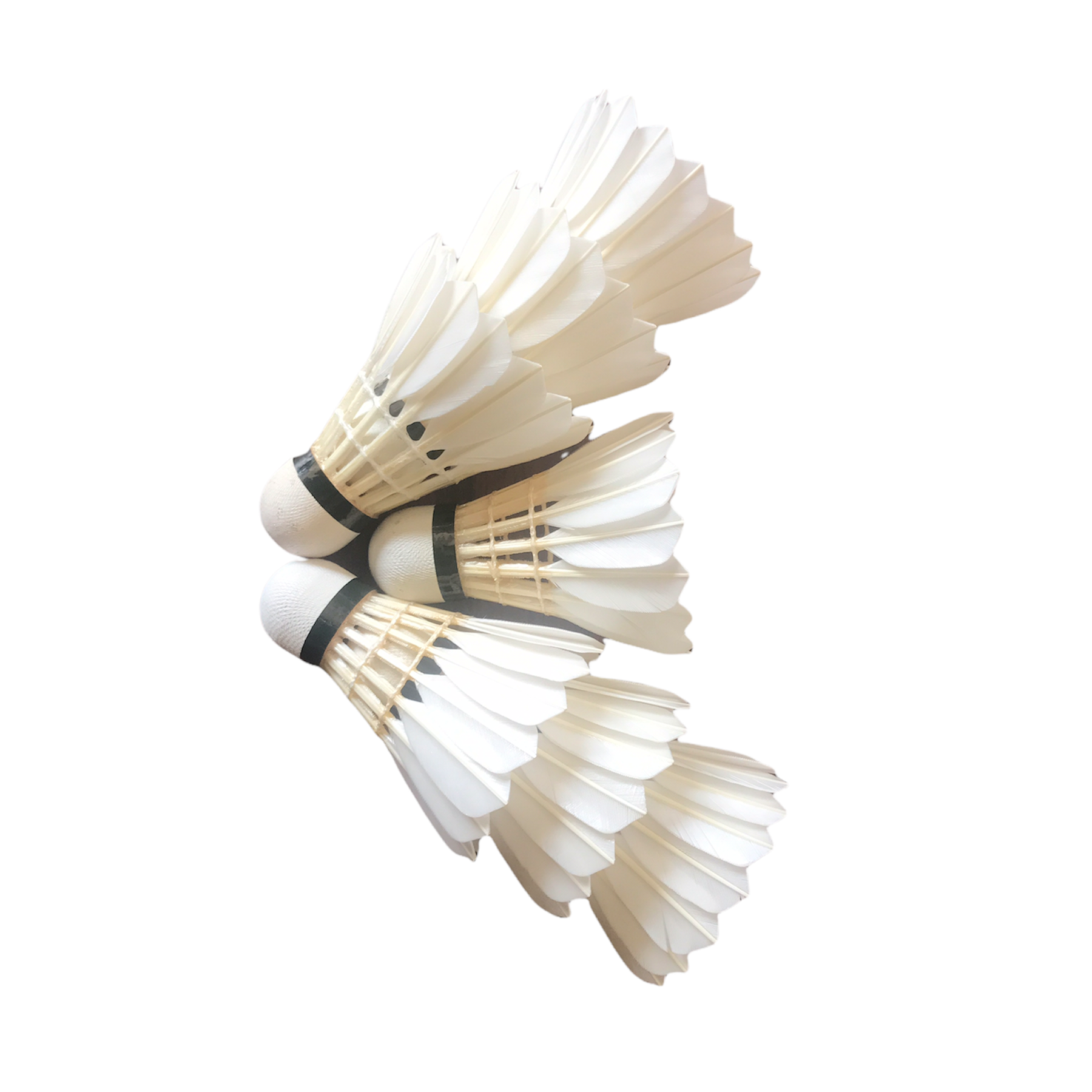 2021 International BWF duck feather badminton shuttlecock