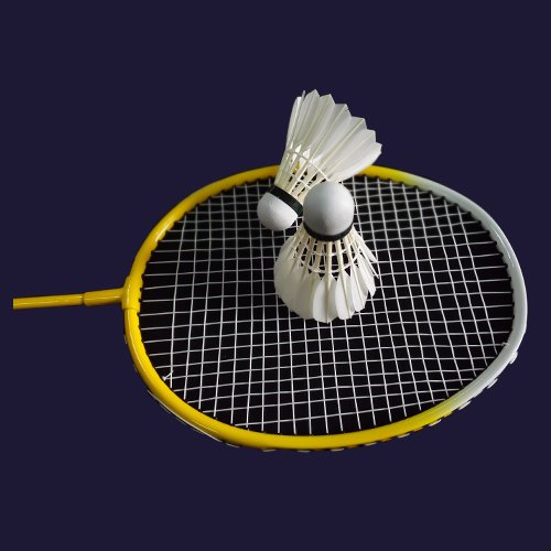 Durable Competition Badminton Shuttlecock Goose Feather Shuttlecock Badminton Ball Shuttle Cock Badminton Shuttle