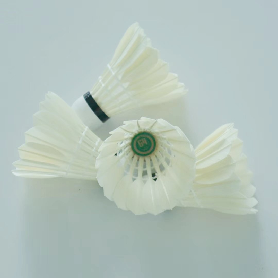 Professional High-Durable All-Round Class D Goose Feather Badminton Shuttlecocks Train with Quality