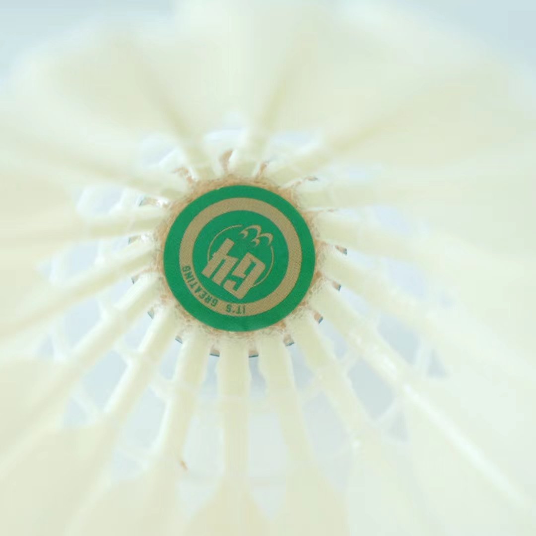 Professional High-Durable All-Round Class D Goose Feather Badminton Shuttlecocks Train with Quality
