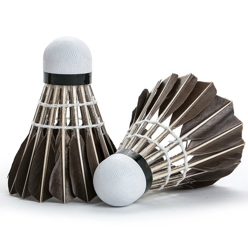 Hot sale Professional Badminton shuttlecock Top grade goose shuttlecocks for tournament best Durable shuttle