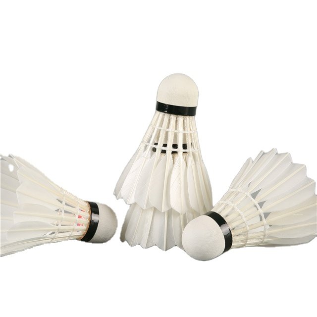 Speed 75/76/77/78 on line bulk shopping sale Badminton Factory