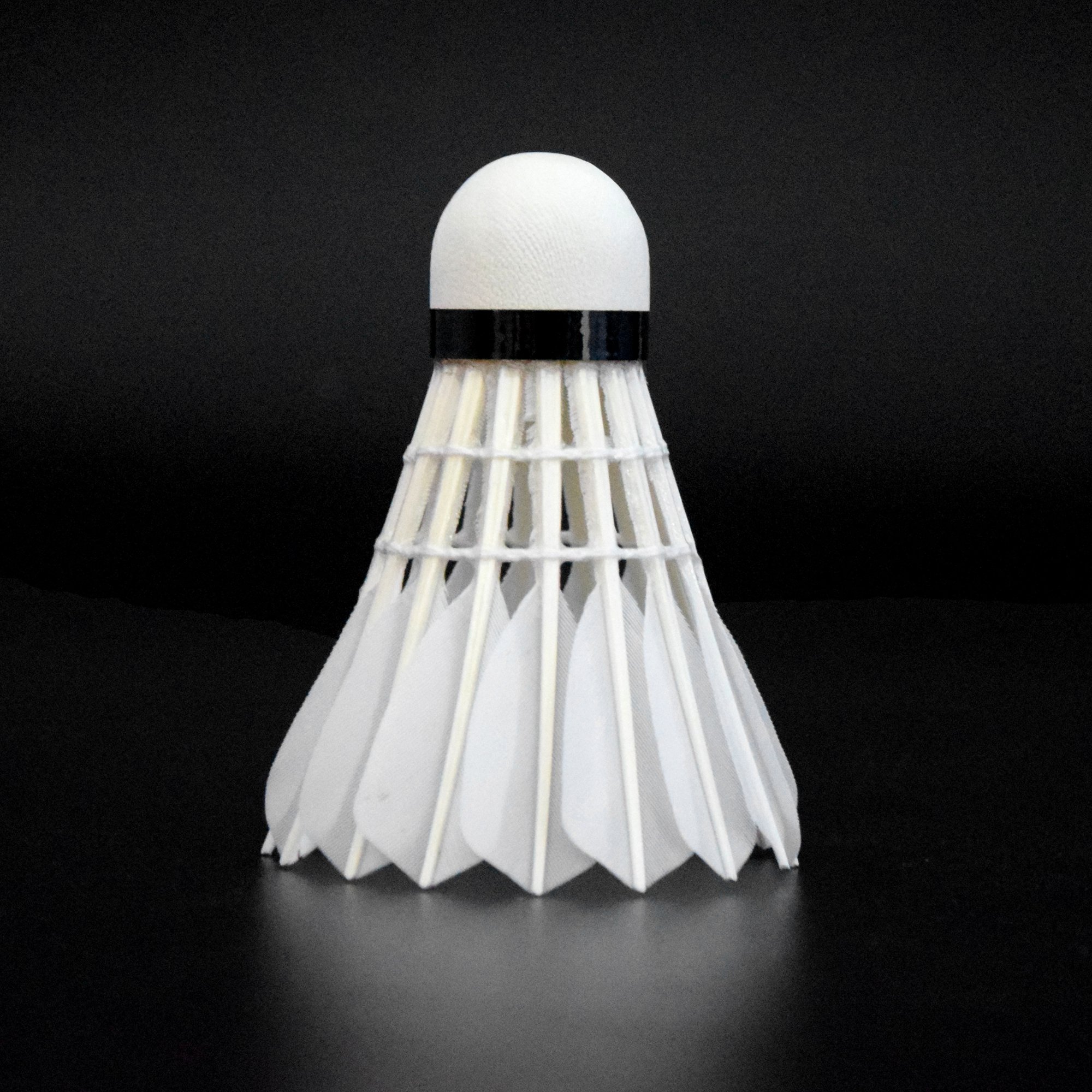 BT#6 Banton Goose Feather Shuttlecock 2 Layer Natural Cork Badminton Shuttlecock for Club Player Badminton