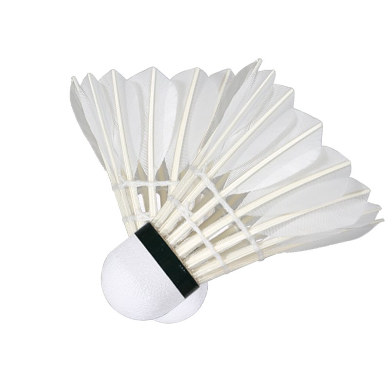 Leijiaer 1002 cheap goose shuttlecock factory sale badminton shuttlecock feather welcome OEM and ODM