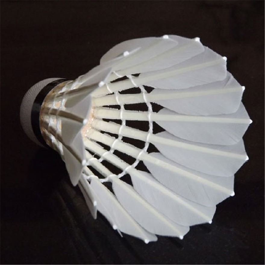 Tournament Grade Badminton Indocock Chinese Anhui Shuttlecock