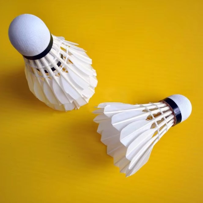 Top Grade Shuttlecocks Goose Feather Badminton Shuttles For Club Competition Lingmei 10