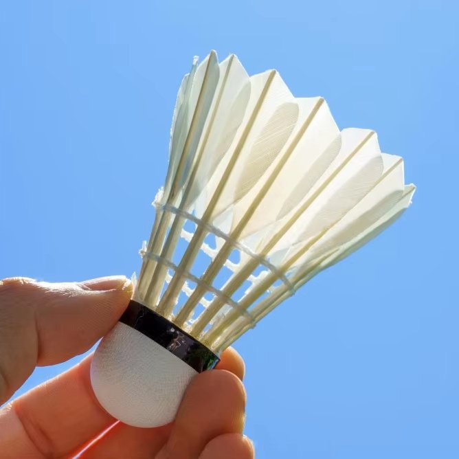 Top Grade Shuttlecocks Goose Feather Badminton Shuttles For Club Competition Lingmei 10