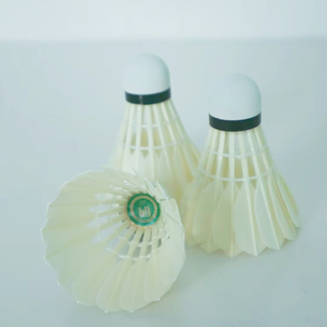 balckwashing class 5 goose feathers with pu cork badminton shuttlecock for professional training