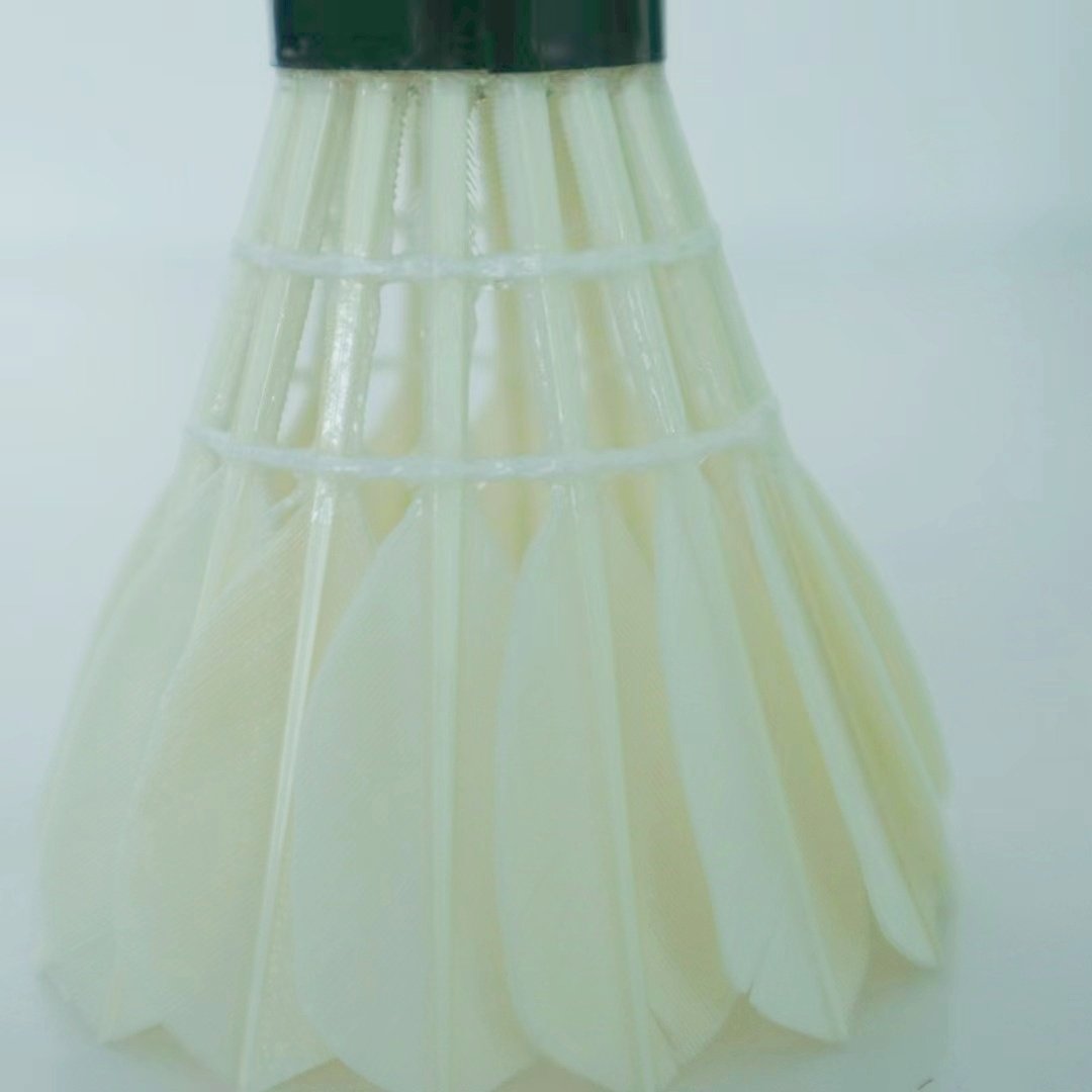 balckwashing class 5 goose feathers with pu cork badminton shuttlecock for professional training