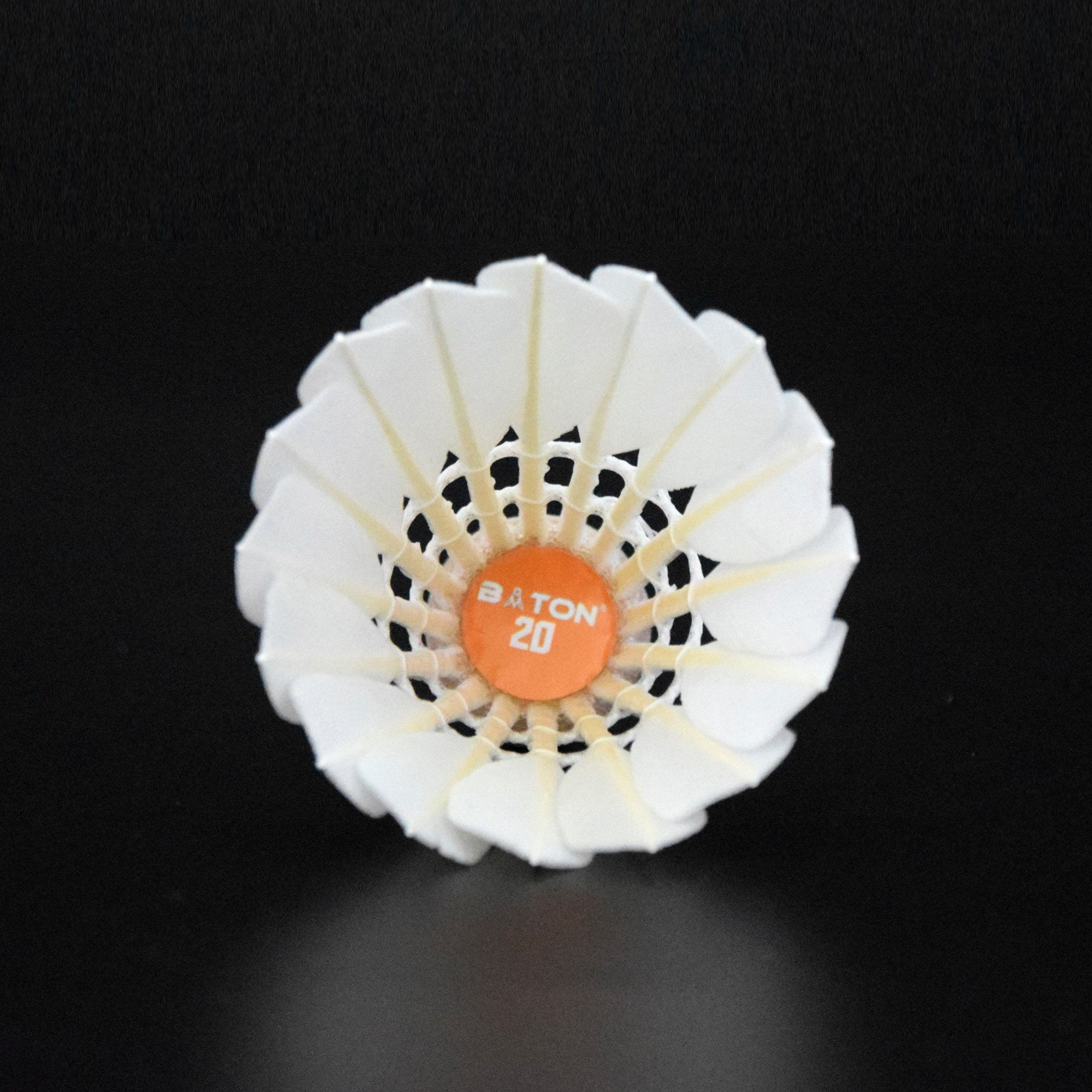 OEM Badminton Shuttlecock Best Durability Top Grade Cigu Duck Feather Shuttlecock for Club Competition 12pcs Shuttle Cock